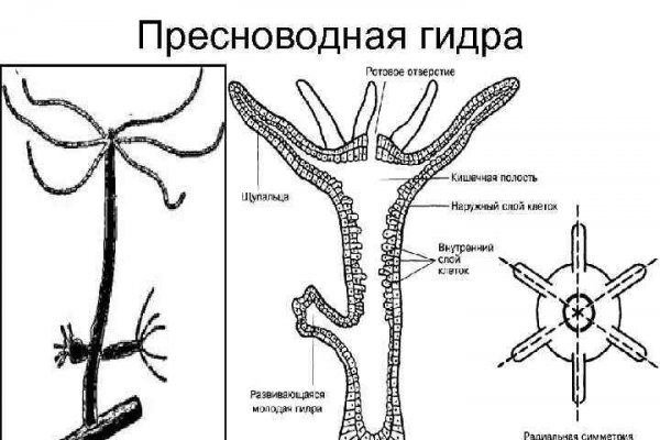 Рабочее зеркало кракен