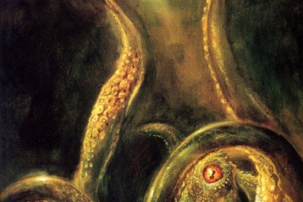 Рабочий сайт kraken