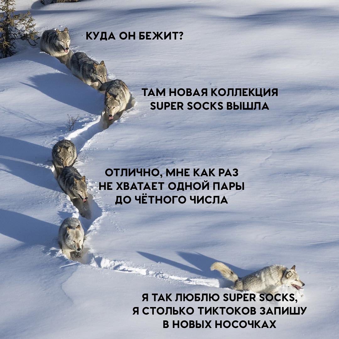 Кракен даркнет зеркало пв